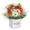 There is a joyful exuberance to this bouquet, styled with flair inside a sleek white gift bag, perfectly echoing the creative pulse of Lower Clapton. Generous ruffles of coral and cherry-red carnations give the arrangement a plush, vibrant base, their vivid hues recalling the colourful artistry of local street murals. Nestled among the bold carnations are crisp white daisies with sunlit yellow-green eyes, each blossom seeming to radiate the friendly warmth found along Chatsworth Road. Wispy clusters of baby's breath drift among the main blooms, softening the scene with a dreamy lightness, while hints of closed, lavender-tinged buds peek out, hinting at surprises waiting to unfold-much like the area's hidden cafes and artisan studios. Encircling everything is a ring of glossy, deep green leaves, shaped to cradle the flowers in natural elegance and hold the bouquet's rounded form. The sturdy white handles add convenience, underscoring the ease of sending or gifting this bouquet anywhere in Lower Clapton. Against a stark white backdrop, the bouquet's colours and textures are shown at their finest, making it ideal for brightening birthdays, celebrating achievements, or simply sending a touch of everyday joy across the local community. Crafted with care by passionate florists, this arrangement feels like a heartfelt gesture from the very heart of Lower Clapton.