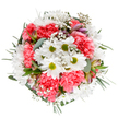 This radiant Lower Clapton bouquet is a celebration of freshness and the ever-changing beauty of Hackney's East End. The composition centres on joyful white daisies, each with bright green cores, surrounded by radiant coral-pink carnations whose ruffled petals add playful depth and movement. Whisper-light gypsophila clusters interlace throughout the bouquet, giving the arrangement an airy, celestial lift. Subtle blushes of alstroemeria and soft eucalyptus leaves emerge from between the blooms, melding botanical aroma and soft, refreshing visual harmony. Throughout, the deep frame of lush greenery echoes the leafy borders of local parks, grounding the bouquet in the world outside. Every detail is crafted to spark happiness and calm-perfect for celebrating a birthday, expressing congratulations, or surprising a loved one in Lower Clapton with same-day delivery. Radiant yet soothing, this bouquet demonstrates a local florist's deep devotion to transforming seasonal blooms into moments of joy and gratitude.